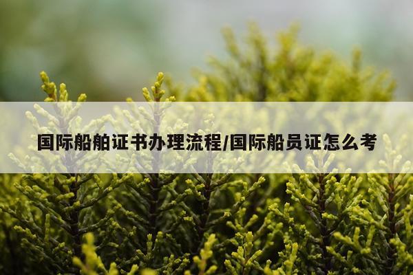 国际船舶证书办理流程/国际船员证怎么考
