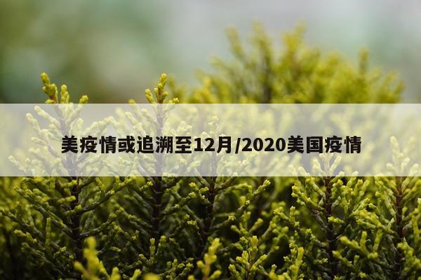 美疫情或追溯至12月/2020美国疫情