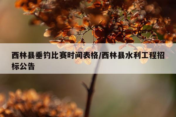 西林县垂钓比赛时间表格/西林县水利工程招标公告