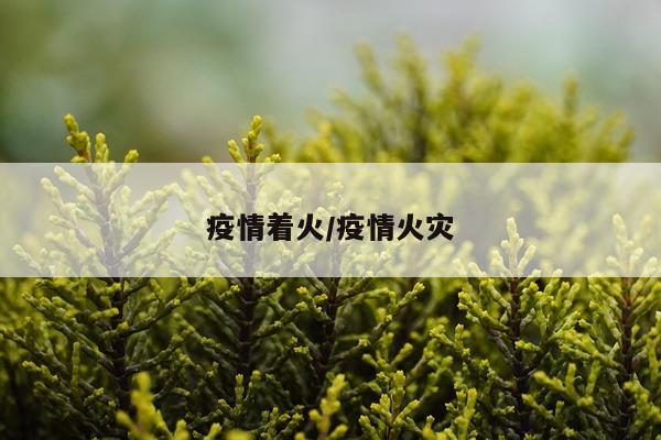 疫情着火/疫情火灾