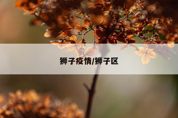 狮子疫情/狮子区