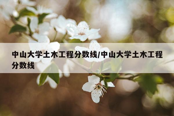 中山大学土木工程分数线/中山大学土木工程分数线
