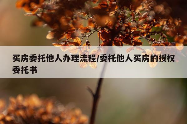 买房委托他人办理流程/委托他人买房的授权委托书