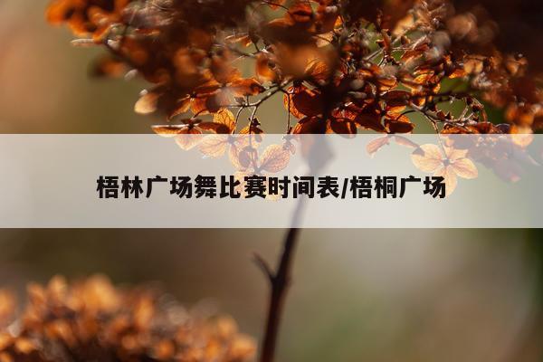 梧林广场舞比赛时间表/梧桐广场