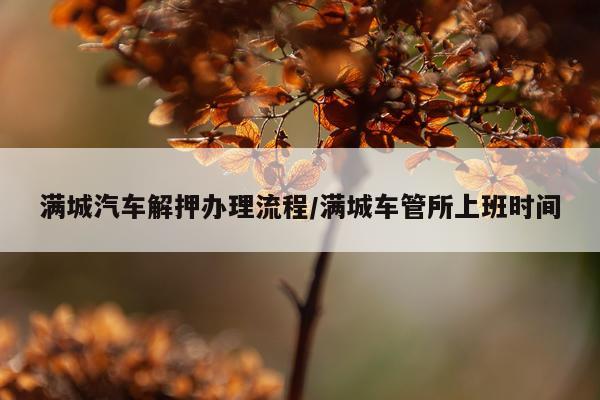 满城汽车解押办理流程/满城车管所上班时间