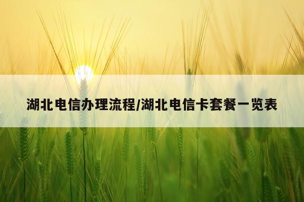 湖北电信办理流程/湖北电信卡套餐一览表