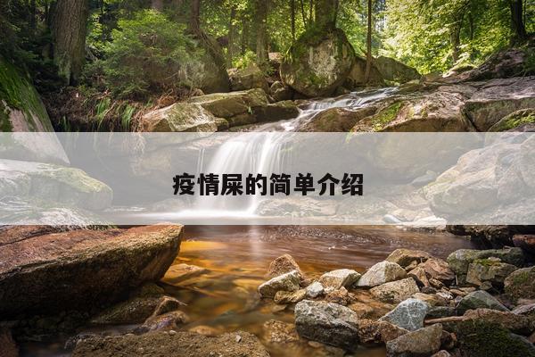 疫情屎的简单介绍