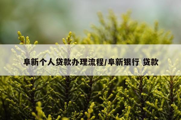 阜新个人贷款办理流程/阜新银行 贷款