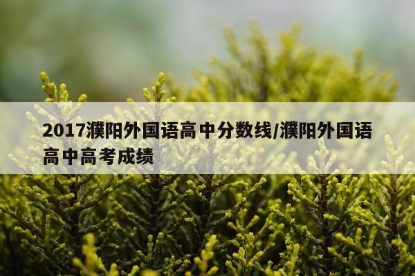 2017濮阳外国语高中分数线/濮阳外国语高中高考成绩