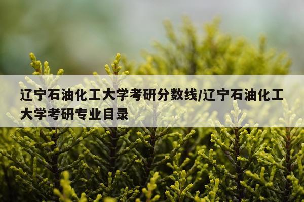 辽宁石油化工大学考研分数线/辽宁石油化工大学考研专业目录