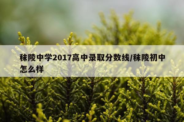 秣陵中学2017高中录取分数线/秣陵初中怎么样