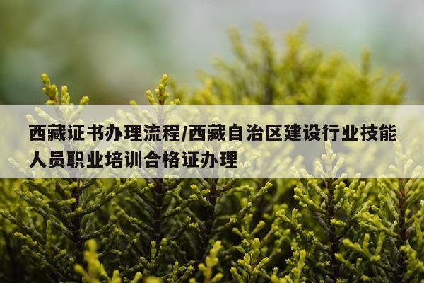 西藏证书办理流程/西藏自治区建设行业技能人员职业培训合格证办理