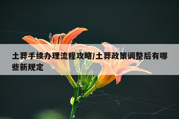 土葬手续办理流程攻略/土葬政策调整后有哪些新规定