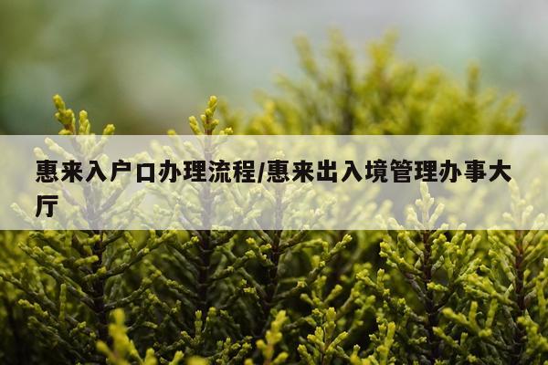 惠来入户口办理流程/惠来出入境管理办事大厅