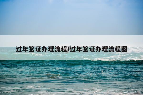 过年签证办理流程/过年签证办理流程图