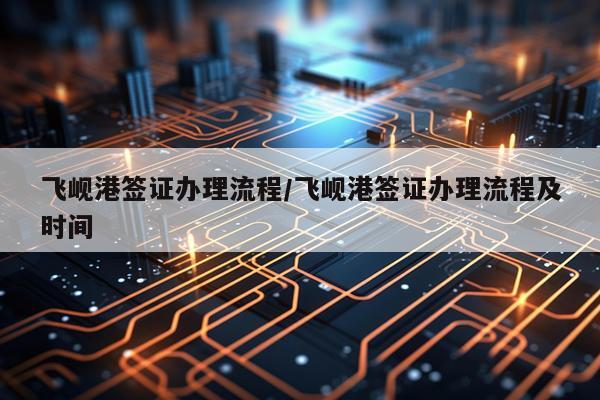 飞岘港签证办理流程/飞岘港签证办理流程及时间