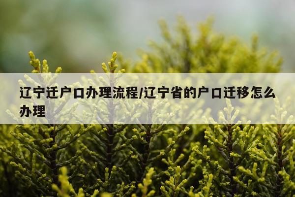 辽宁迁户口办理流程/辽宁省的户口迁移怎么办理
