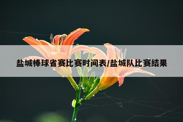盐城棒球省赛比赛时间表/盐城队比赛结果