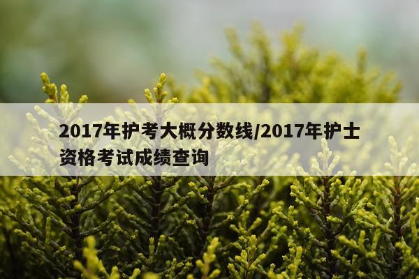 2017年护考大概分数线/2017年护士资格考试成绩查询