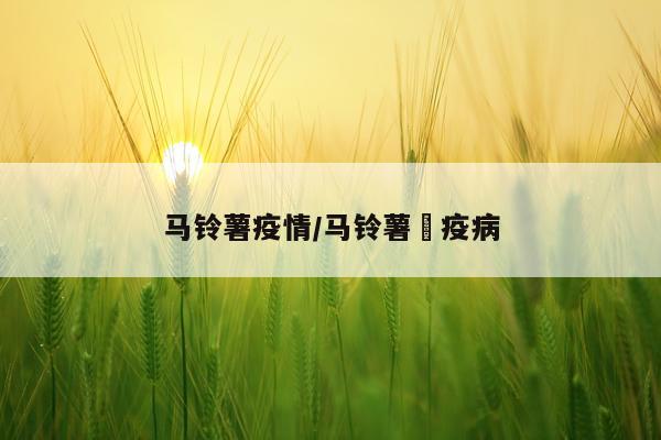 马铃薯疫情/马铃薯睌疫病