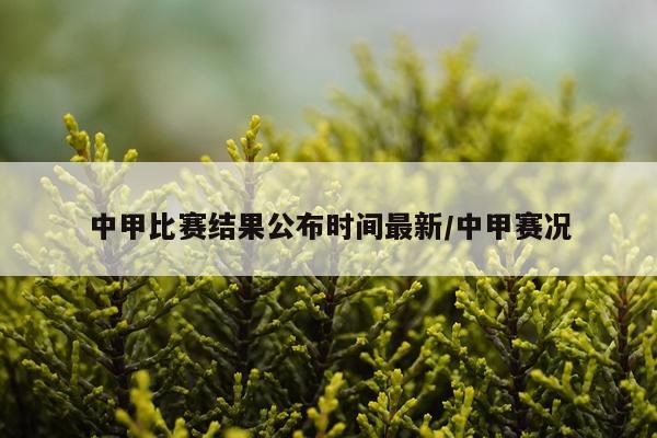 中甲比赛结果公布时间最新/中甲赛况