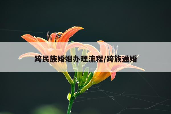 跨民族婚姻办理流程/跨族通婚