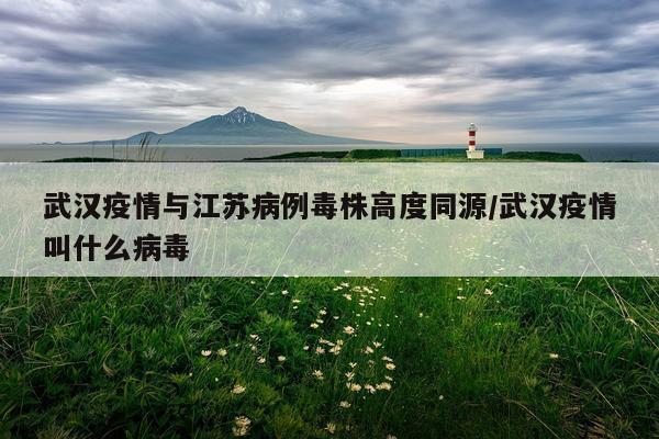 武汉疫情与江苏病例毒株高度同源/武汉疫情叫什么病毒