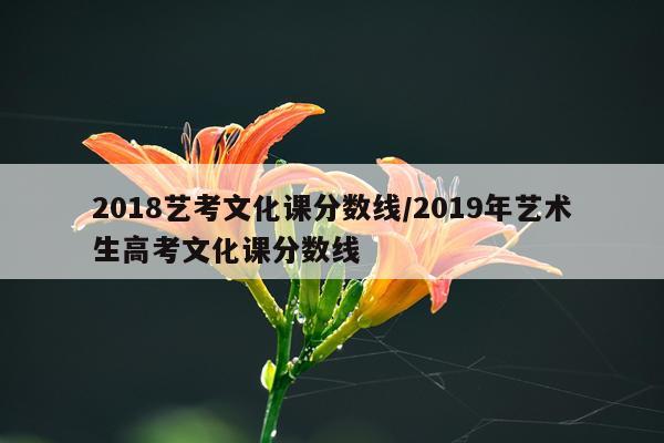 2018艺考文化课分数线/2019年艺术生高考文化课分数线
