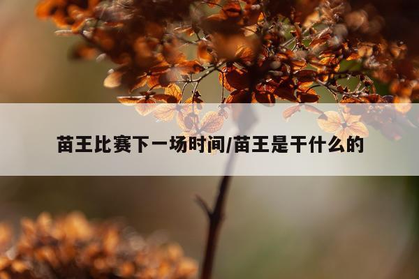 苗王比赛下一场时间/苗王是干什么的