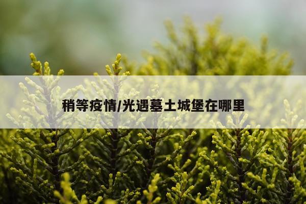 稍等疫情/光遇墓土城堡在哪里