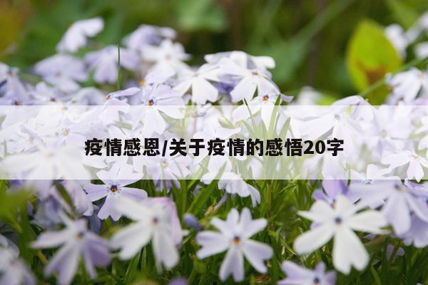 疫情感恩/关于疫情的感悟20字