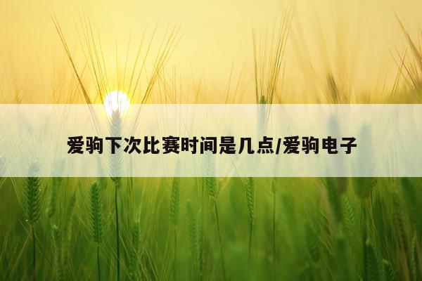 爱驹下次比赛时间是几点/爱驹电子