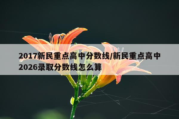 2017新民重点高中分数线/新民重点高中2026录取分数线怎么算