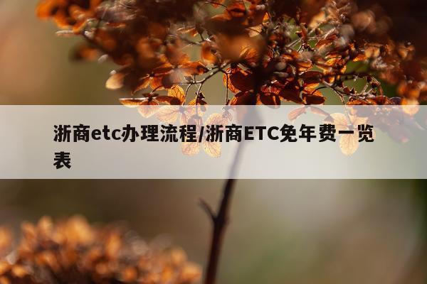 浙商etc办理流程/浙商ETC免年费一览表