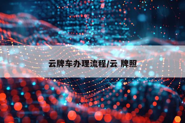 云牌车办理流程/云 牌照