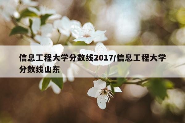 信息工程大学分数线2017/信息工程大学分数线山东