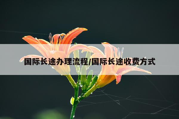 国际长途办理流程/国际长途收费方式