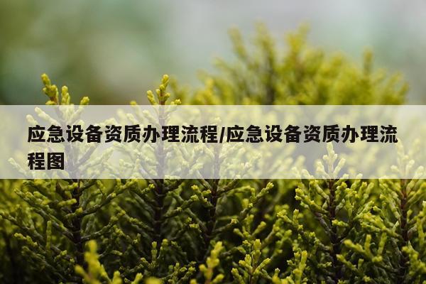 应急设备资质办理流程/应急设备资质办理流程图