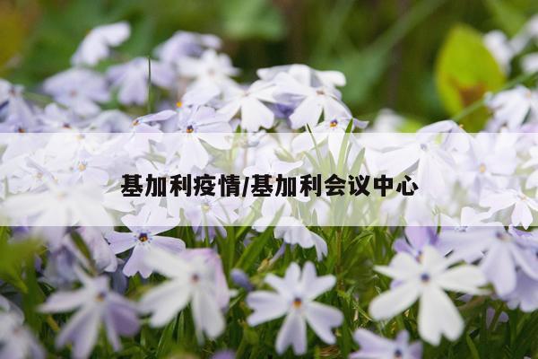 基加利疫情/基加利会议中心