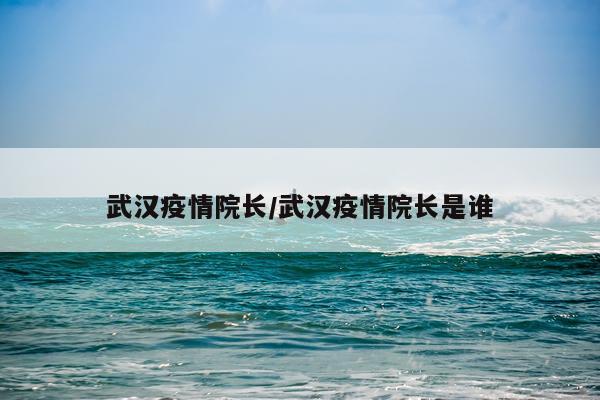 武汉疫情院长/武汉疫情院长是谁