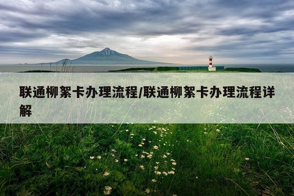 联通柳絮卡办理流程/联通柳絮卡办理流程详解