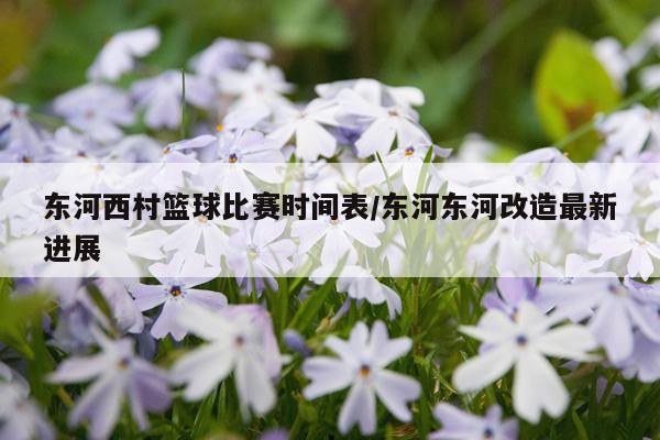 东河西村篮球比赛时间表/东河东河改造最新进展