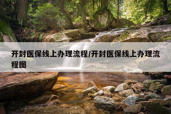 开封医保线上办理流程/开封医保线上办理流程图