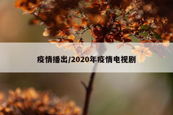 疫情播出/2020年疫情电视剧