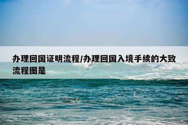 办理回国证明流程/办理回国入境手续的大致流程图是