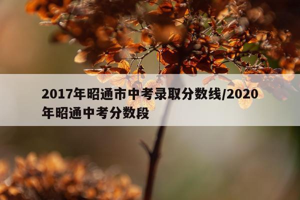 2017年昭通市中考录取分数线/2020年昭通中考分数段