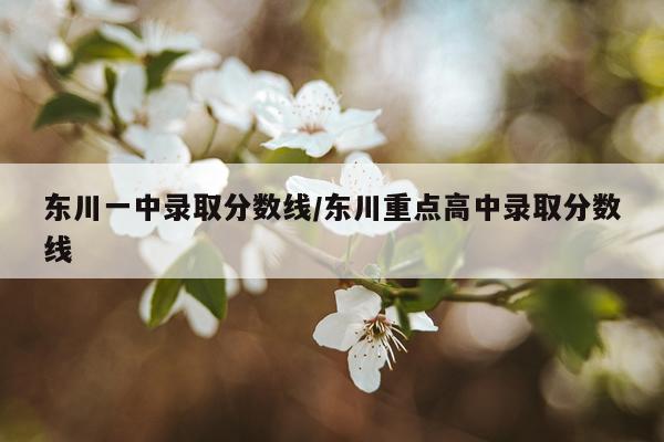 东川一中录取分数线/东川重点高中录取分数线
