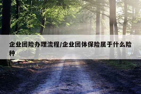 企业团险办理流程/企业团体保险属于什么险种