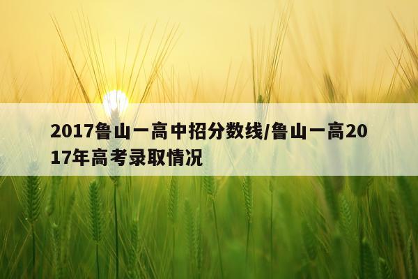 2017鲁山一高中招分数线/鲁山一高2017年高考录取情况