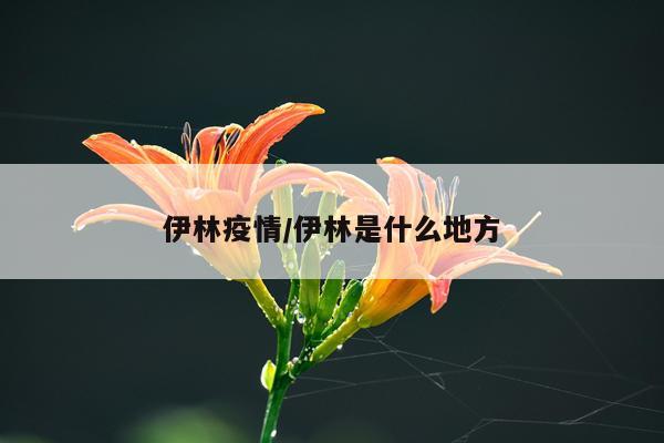 伊林疫情/伊林是什么地方
